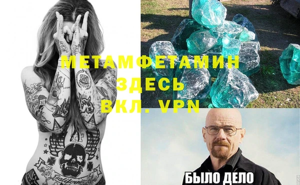 сатива Балахна