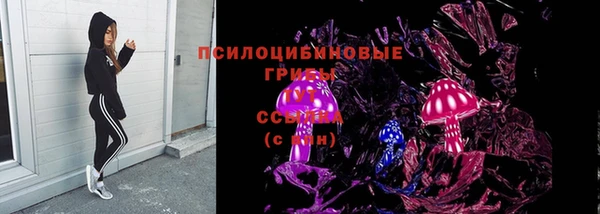ГАЛЛЮЦИНОГЕННЫЕ ГРИБЫ Баксан