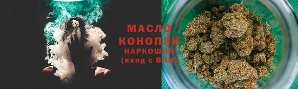сатива Балахна