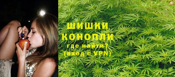 сатива Балахна