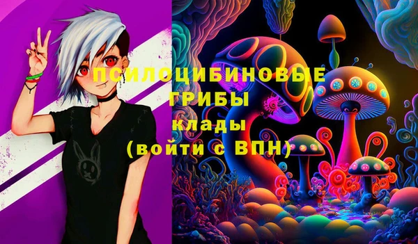 ГАЛЛЮЦИНОГЕННЫЕ ГРИБЫ Баксан
